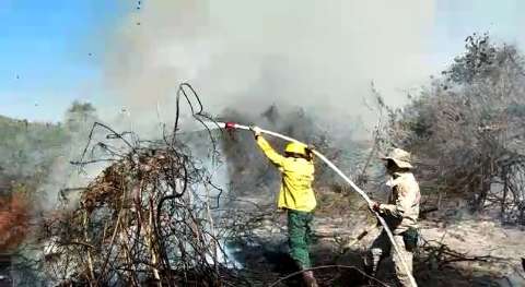 Vídeos mostram combate ao fogo em região de difícil acesso na Serra do Amolar 