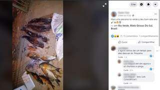 Paulista &eacute; indiciado em MS ap&oacute;s postar &quot;moqueca de pintado&quot; pescado com arapuca