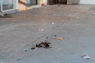 Afastado, PM que matou na sa&iacute;da de tabacaria s&oacute; volta com aval de psic&oacute;logo