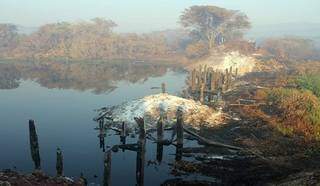 Ponte queimada durante os incêndios florestais no Pantanal (Foto: Silvio de Andrade - Governo MS)