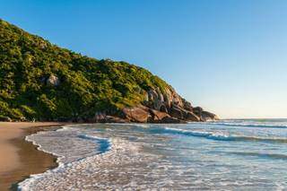 Praia Brava, em Florianópolis (SC), um dos destinos de praia preferidos dos sul-mato-grossenses (Foto: Reprodução)