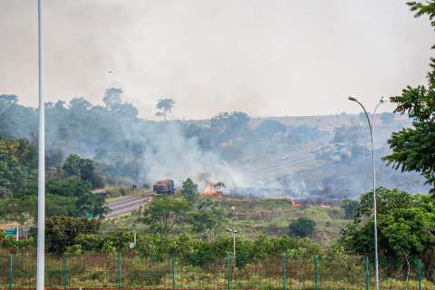 Inc&ecirc;ndio em vegeta&ccedil;&atilde;o chama aten&ccedil;&atilde;o &agrave;s margens da BR-163