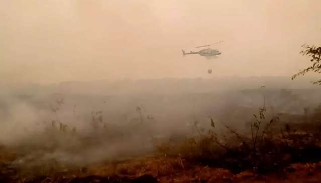 Ap&oacute;s tr&eacute;gua, Pantanal de MS enfrenta 83 focos de inc&ecirc;ndio em oito dias