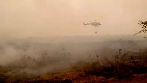 Após trégua, Pantanal de MS enfrenta 83 focos de incêndio em oito dias