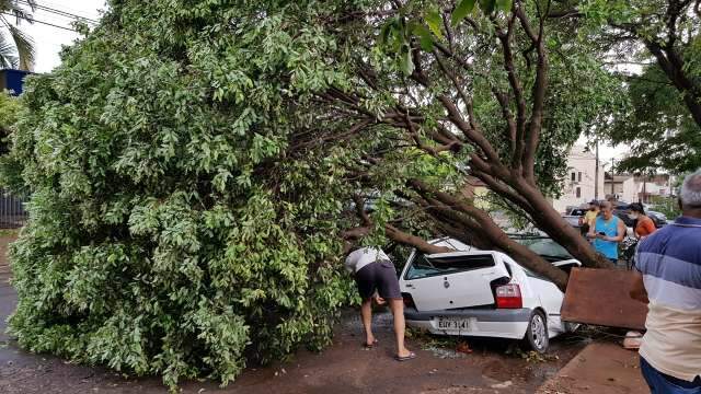 Temporal rompeu fia&ccedil;&atilde;o e deixou 25 bairros sem energia em Dourados