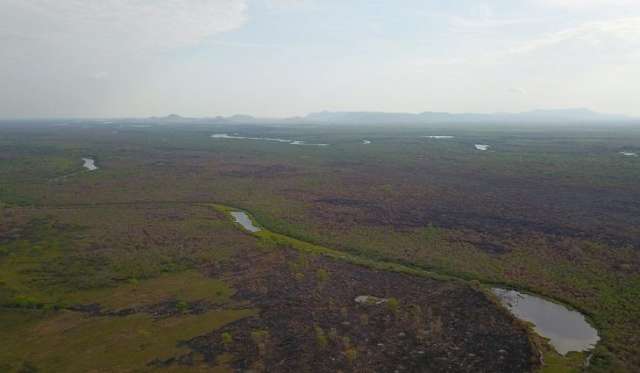 Projeto prev&ecirc; amparo a pecuaristas devido &agrave; estiagem prolongada