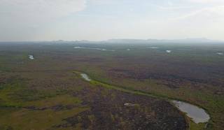 Projeto prev&ecirc; amparo a pecuaristas devido &agrave; estiagem prolongada