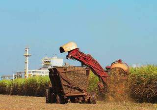 Super&aacute;vit da balan&ccedil;o comercial em 2020 &eacute; um ter&ccedil;o maior que em 2019