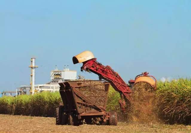 Super&aacute;vit da balan&ccedil;o comercial em 2020 &eacute; um ter&ccedil;o maior que em 2019