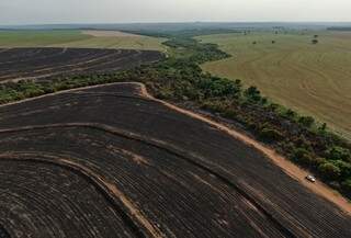 Empresa &eacute; multada em R$ 493 mil por inc&ecirc;ndio em lavoura e vegeta&ccedil;&atilde;o protegida 