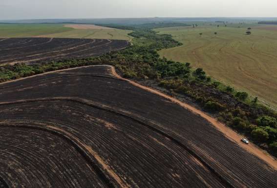 Empresa &eacute; multada em R$ 493 mil por inc&ecirc;ndio em lavoura e vegeta&ccedil;&atilde;o protegida 
