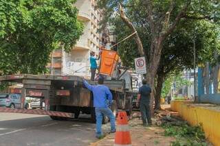 Do Centro aos bairros: equipes removem 30 &aacute;rvores que ca&iacute;ram no temporal