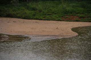 Banco de areia formado dentro da lagoa menor do Parque das Nações. (Foto: Macos Maluf)
