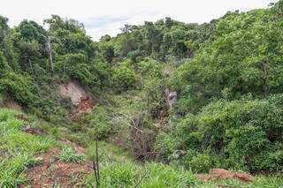 Erosão no Córrego Joaquim Português é um dos causadores de assoreamente em período curto. (Foto: Paulo Francis)