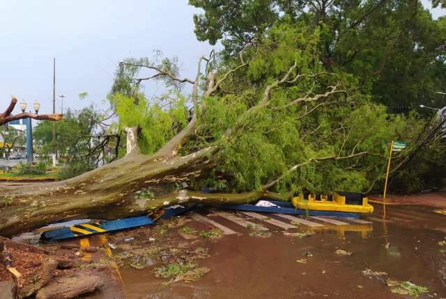 Em meio ao caos da cidade, prefeita critica uso pol&iacute;tico de temporais