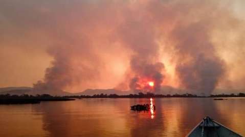 Em ano de queimada recorde, Dia do Pantanal é celebrado com esperança