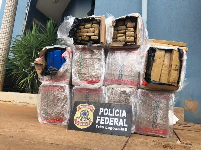 Motorista &eacute; preso com 300 quilos de maconha em caminh&atilde;o frigor&iacute;fico 