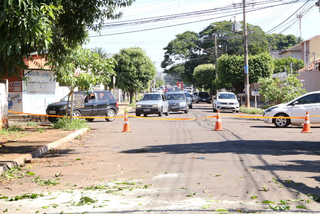 Galhos de mangueira caem sobre fiação e bloqueiam avenida Galhos de mangueira caem sobre fiação e bloqueiam avenida