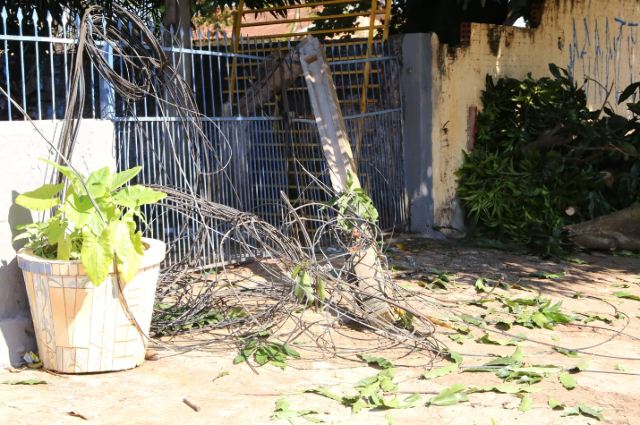 Galhos de mangueira caem sobre fia&ccedil;&atilde;o e bloqueiam avenida 