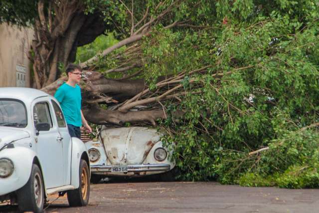 Em domingo de elei&ccedil;&atilde;o, MS teve chuvas com ventos de at&eacute; 72 km por hora