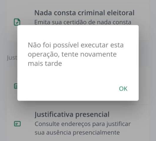 Eleitor enfrenta problemas para consultar e-T&iacute;tulo