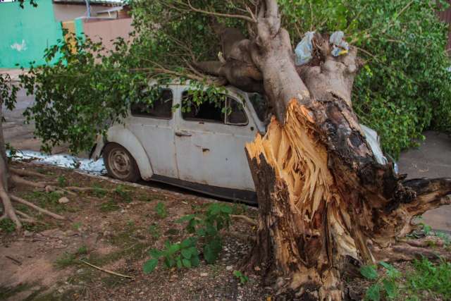 &Aacute;rvore cai sobre Fusca abandonado durante chuva em rua do Jardim Im&aacute;