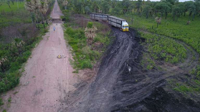 Campo Grande News