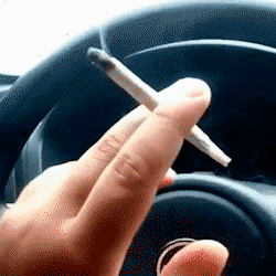Dirigindo, jovem grava v&iacute;deo fumando maconha atr&aacute;s de viatura da PM e vai preso