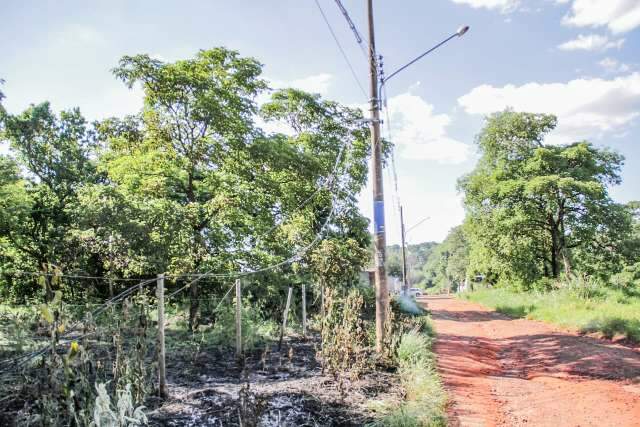 Caminh&atilde;o arrebenta fios de telefonia, que invadem terreno que pegou fogo