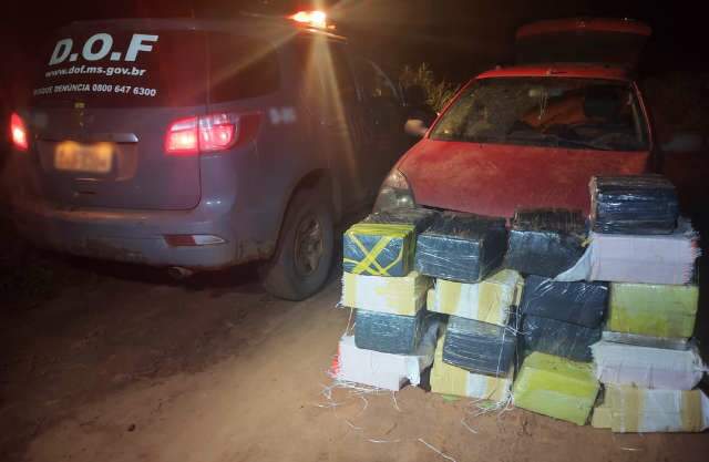 Dois s&atilde;o presos com mais de 300 kg de maconha em matagal