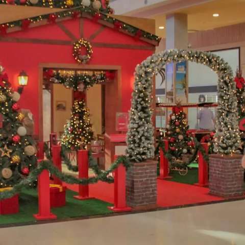 Pandemia não deve atrapalhar decoração de Natal, dizem leitores