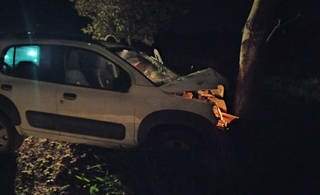Motorista perde controle de Fiat Uno, bate em &aacute;rvore e morre