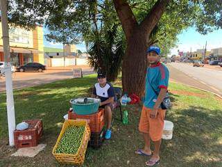 Lucas Almada (de azul) colhe e vende a guavira no canteiro central de Sidrolândia (Foto: Lucimar Couto)