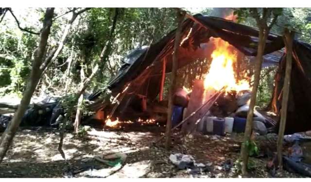 Pol&iacute;cia destr&oacute;i planta&ccedil;&otilde;es de maconha e 12 acampamentos no territ&oacute;rio do tr&aacute;fico