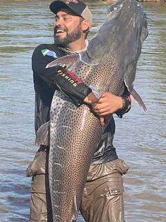 Com 1,78 e pesando praticamente 70 quilos, espécie pintado foi o maior peixe da &#34;carreira&#34; esportiva de Marcos (Foto: Arquivo Pessoal)