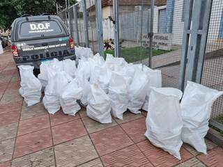 Dupla &eacute; presa em &quot;ch&aacute;cara do tr&aacute;fico&quot; com 890 quilos de maconha 