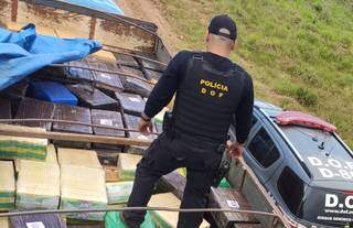 Oito toneladas de maconha foram apreendidas pelo DOF, na quarta, no município de Amambai (Foto: Divulgação)
