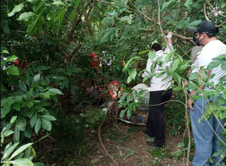 Perícia paraguai em local onde corpos foram encontrados.(Foto: Marciano Candia/Última Hora)