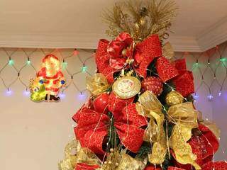 Neste ano, nem todo mundo teve ânimo para montar sua árvore de Natal em casa (Foto: Kísie Ainoã)