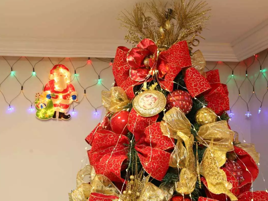 Decoração de Natal foi posta em xeque até para quem já tem tradição -  Comportamento - Campo Grande News