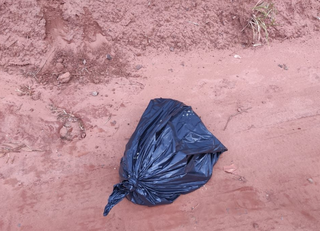 Corpo do cão foi encontrado morto dentro de saco de lixo (Foto: divulgação / Polícia Civil) 