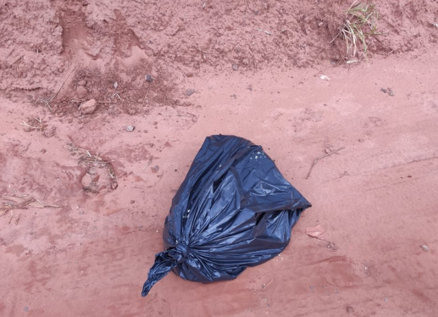 Mulher &eacute; presa sob suspeita de tentar esganar filha e matar filhote de pitbull