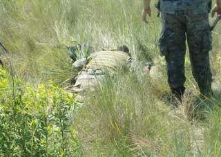 Policial ao lado do corpo de colega em fazenda na fronteira (Foto: Divulgação)