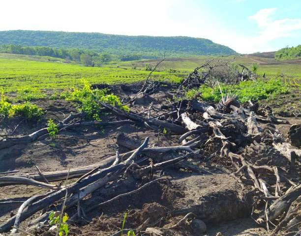 Um &eacute; preso e 3 fogem ap&oacute;s flagrante em fazenda que escravizava at&eacute; crian&ccedil;as