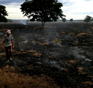 Pasto de fazendo pegou fogo (Foto:OPortalPNews)