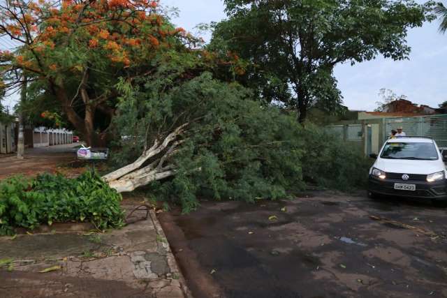 Temporal de quinta-feira deixou moradores de 24 bairros sem energia el&eacute;trica