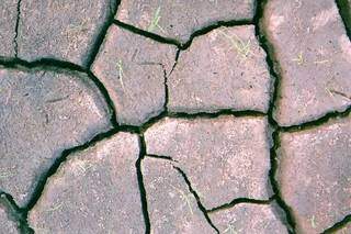 Até a seca &#34;devastadora&#34; serviu de inspiração (Foto: Guilherme Delmondes)