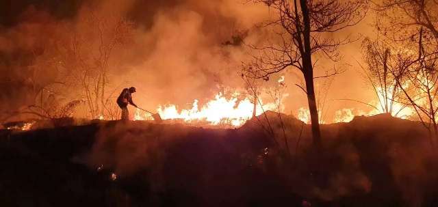 Sem chuva e cheia, cen&aacute;rio  &eacute; de queimadas mais devastadoras no Pantanal em 2021