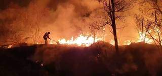 Pantanal sofreu em 2020, com milhares de focos de incêndio e comprometimento de 29% de sua área. (Foto: Corpo de Bombeiros)