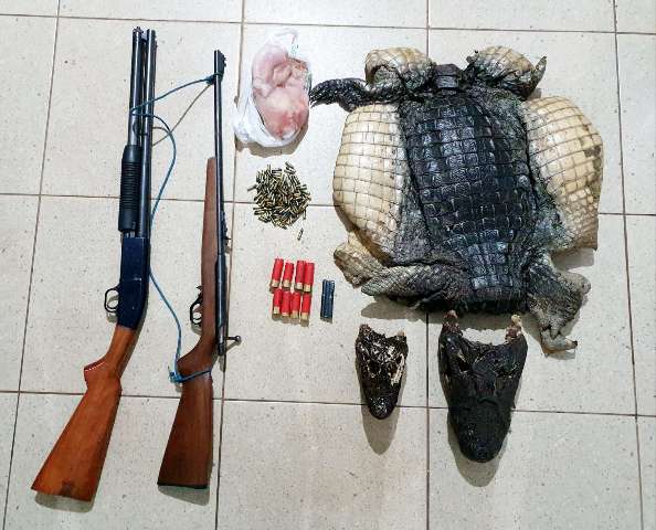 Preso com armas e muni&ccedil;&otilde;es, ca&ccedil;ador tinha carca&ccedil;a de jacar&eacute;s em casa 